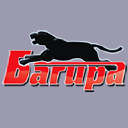 Bagiracomp.ru logo