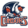 Bakersfieldcondors.com logo