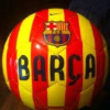 Barca.ru logo