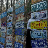 Barkleymarathons.com logo