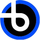 Baronstrainers.com logo