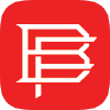 Baseballfactory.com logo