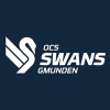 Basketswans.at logo