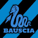 Bauscia.it logo