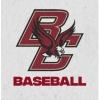 Bceagles.com logo