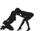 Bdsmstreak.com logo