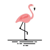 Beachflamingo.com logo