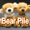 Bearpile.com logo