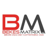 Bekesmatrix.hu logo