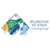 Bellingham.org logo