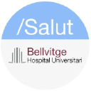 Bellvitgehospital.cat logo