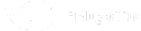 Belugacdn.com logo