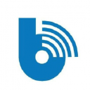 Berdikarionline.com logo