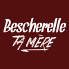 Bescherelletamere.fr logo