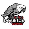 Besiktasarena.com logo