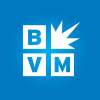 Bestversionmedia.com logo