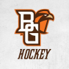 Bgsufalcons.com logo