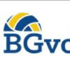 Bgvolleyball.com logo