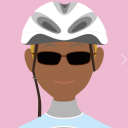 Bicyclediarys.com logo