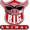 Biganimal.net logo