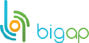 Bigap.ru logo