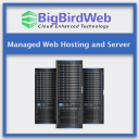 Bigbirdweb.com logo