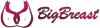 Bigbreast.cz logo