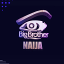 Bigbrothernaija.net logo
