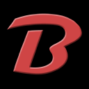 Bigbruin.com logo