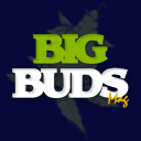 Bigbudsmag.com logo