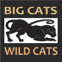 Bigcatswildcats.com logo