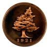 Bigcedar.com logo