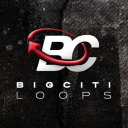 Bigcitiloops.com logo