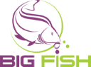 Bigfish.ro logo
