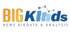 Bigkinds.or.kr logo
