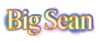 Bigseanshop.com logo