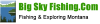 Bigskyfishing.com logo