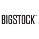Bigstockphoto.mx logo