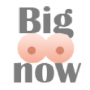 Bigtitsnow.com logo