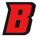 Bikemaster.ru logo