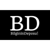 Bilginindeposu.com logo