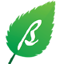 Birchpress.com logo