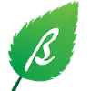 Birchpress.com logo