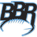 Blackandbluereview.com logo