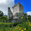 Blarneycastle.ie logo