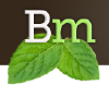 Bloggermint.com logo