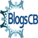 Blogscapitalbolsa.com logo