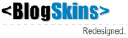 Blogskins.com logo