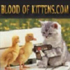 Bloodofkittens.com logo