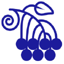 Bloomberry.com logo